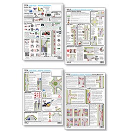 Colour Lesson Recaps - AUTOMATIC